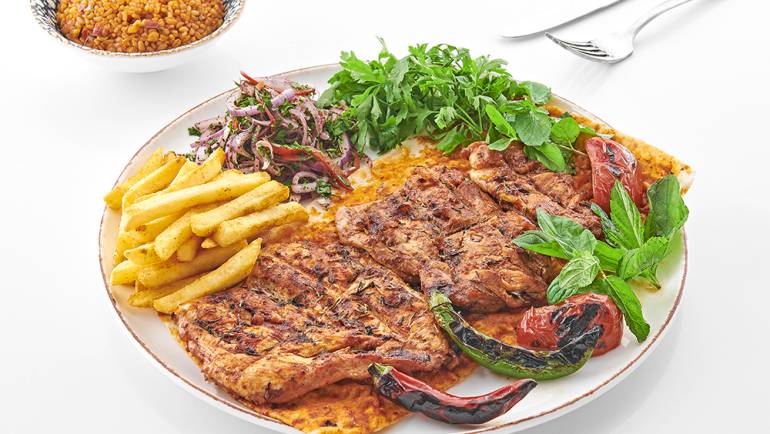 دجاج حربية تربية